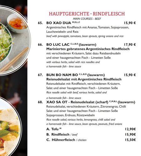 asiatische Speisen in Bad Harzburg (19)